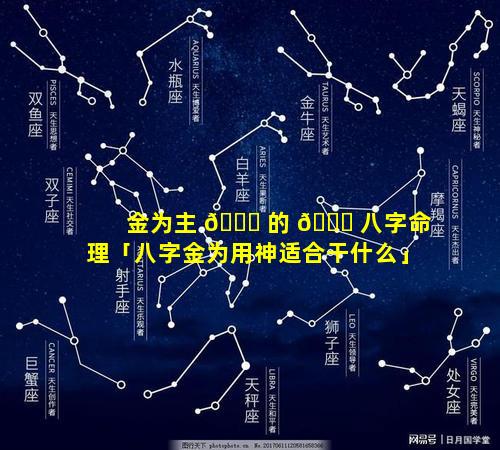 金为主 🐕 的 🐝 八字命理「八字金为用神适合干什么」